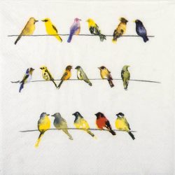 Papierserviette Birds Community 33x33
