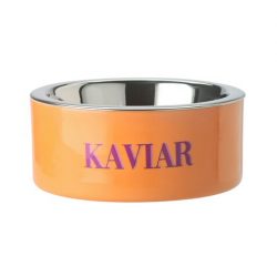Futternapf S Kaviar, neon orange