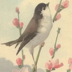 Duft Tasche Vogel Kirschblüte