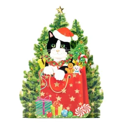 Adventkalender Christmas Cat