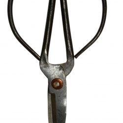 Schere medium