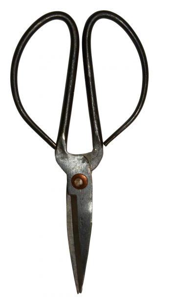 Schere medium