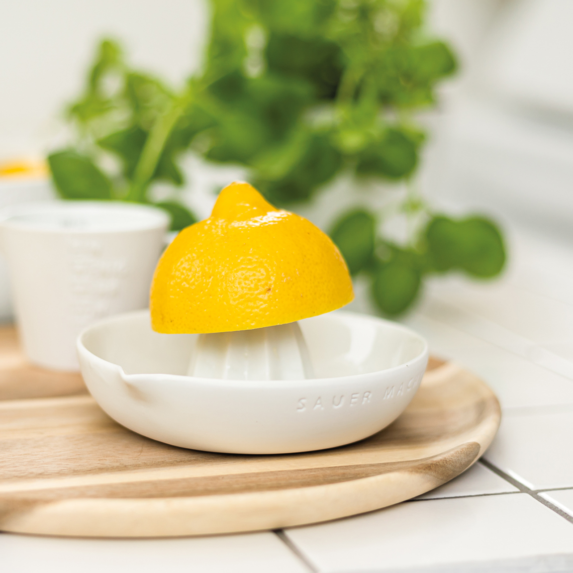 Zitruspresse Sauer macht... – Bild 4