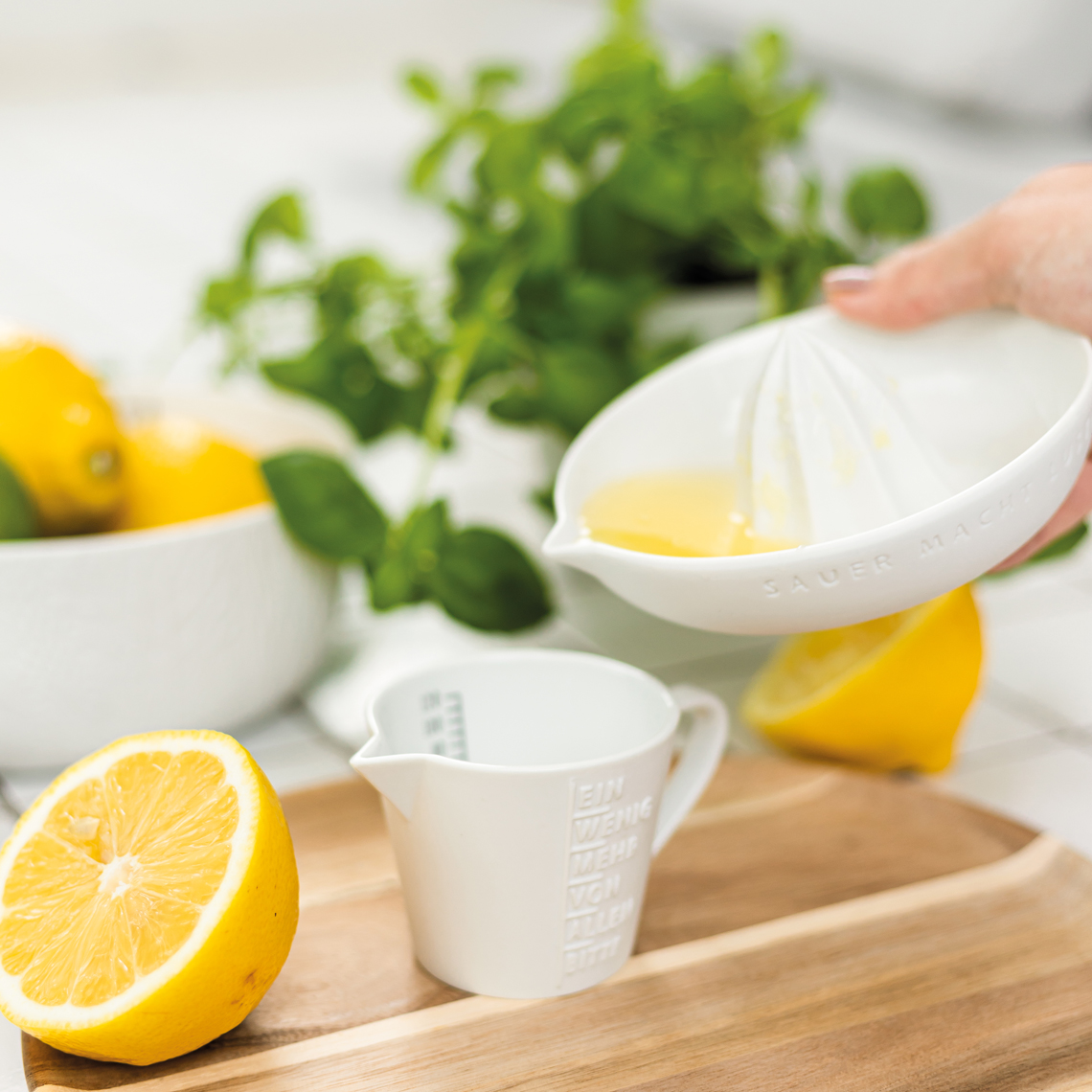 Zitruspresse Sauer macht... – Bild 3