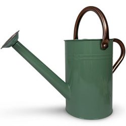 Giesskanne Pour Sage small